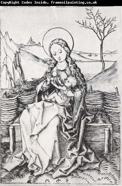 Albrecht Durer The Virgin on a grassy bench